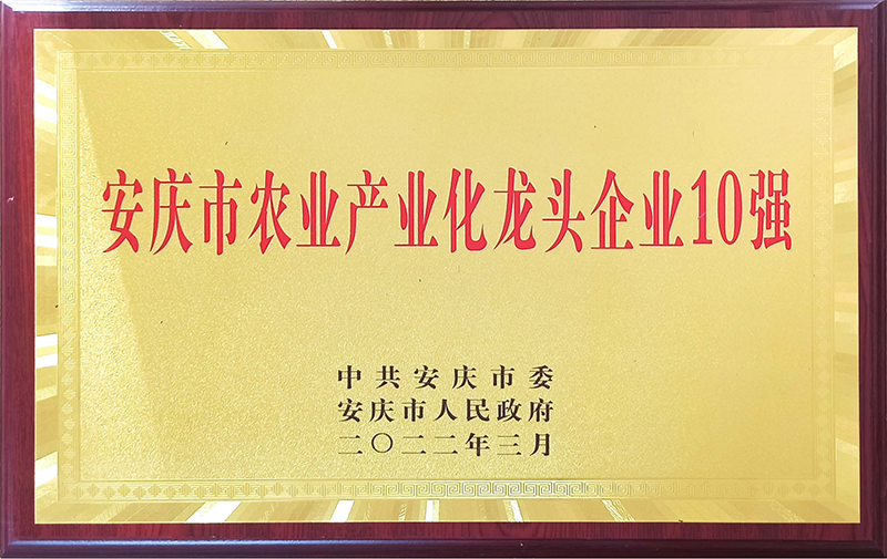 稼仙资质荣誉-网站_05